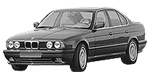 BMW E34 B3135 Fault Code